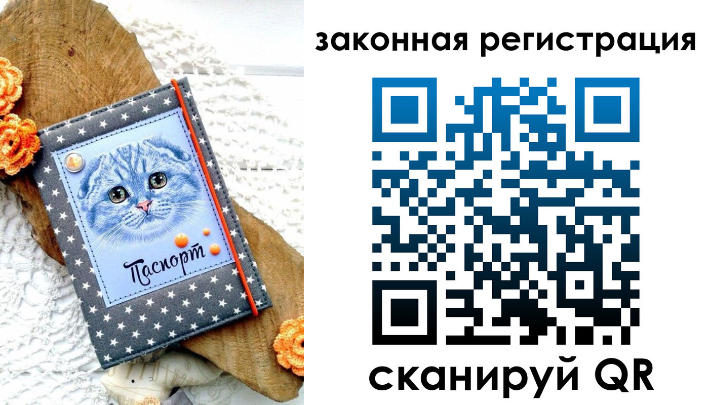 регистрация в Лузе